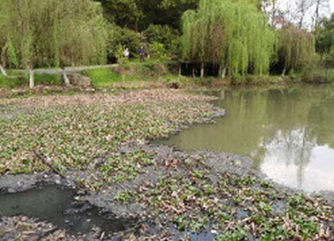 �ڳ�ˮ���޸�